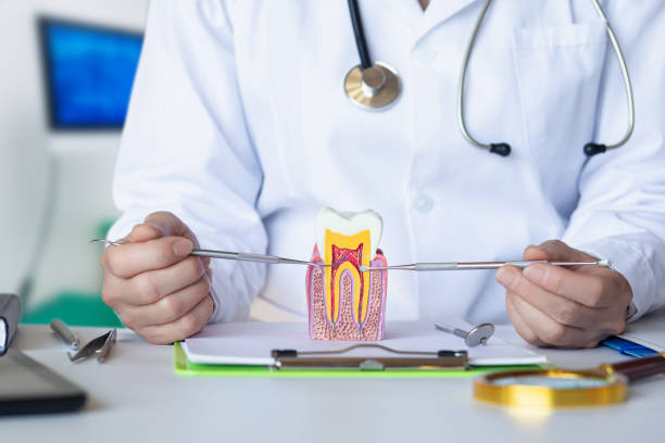 Best Broken or Chipped Tooth Repair in Lake Como, NJ
